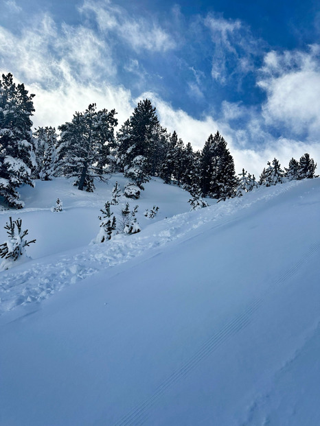 Andorra 🇦🇩 World ❄️ 100% Ski