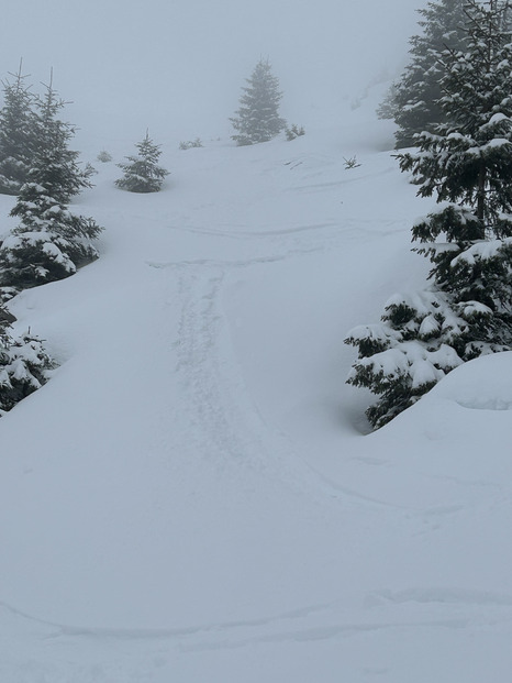 Snowing day et brouillard à la Balme 