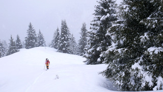 Pour une poignée de flocons