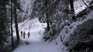 Pour une poign&eacute;e de flocons