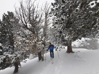 Un peu de bucheronnage sous la 'neige 👍😜