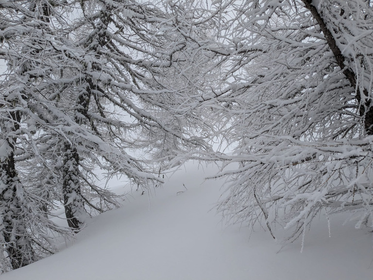 Un peu de bucheronnage sous la 'neige 👍😜