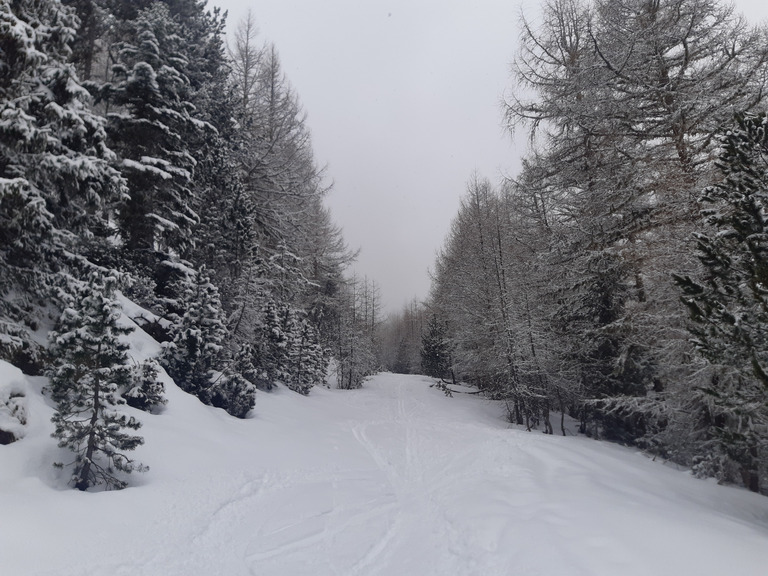 Un peu de bucheronnage sous la 'neige 👍😜