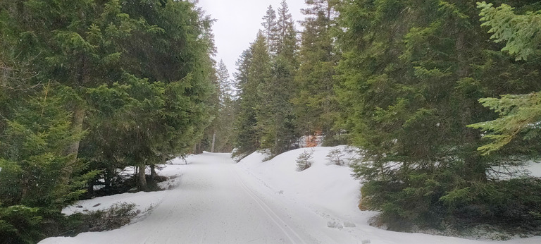 Bonne glisse et fausses traces en skating à l'Arselle 