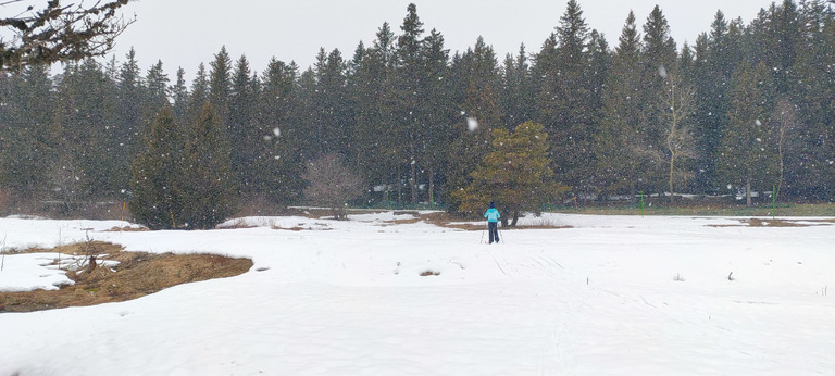 Bonne glisse et fausses traces en skating à l'Arselle 