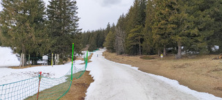 Bonne glisse et fausses traces en skating à l'Arselle 