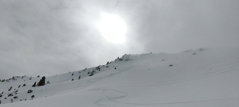 Bonne poudre, cache cache avec le brouillard et neige