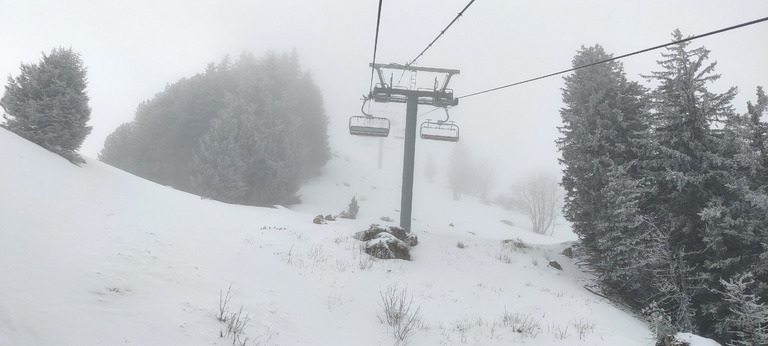 Bonne poudre, cache cache avec le brouillard et neige