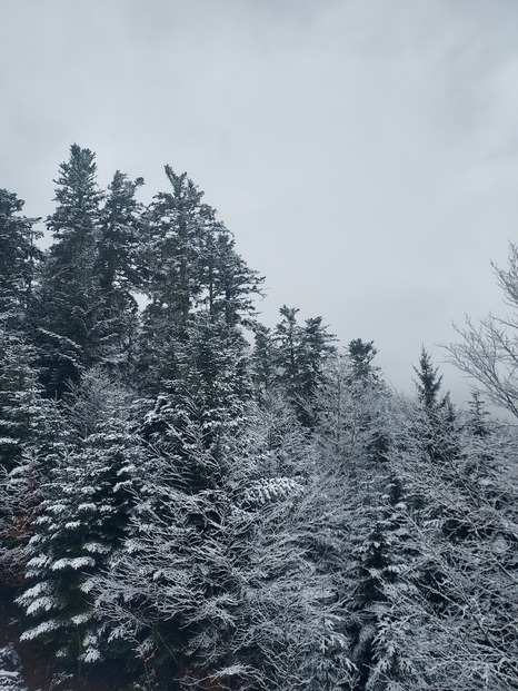 Ax 3 Domaines ❄️🌲 +10cm & 👻