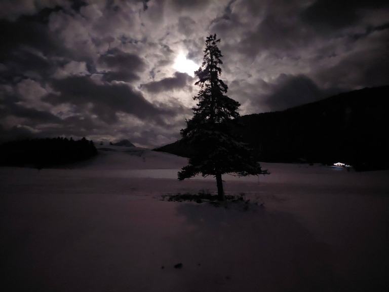 Nocturne sur le plateau des glières