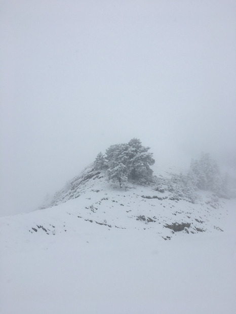 News du piémont pyrénéen.