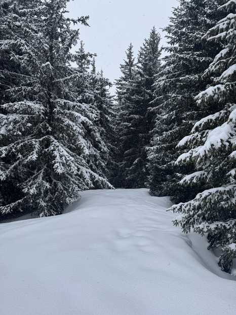 La magie du blanc ! 