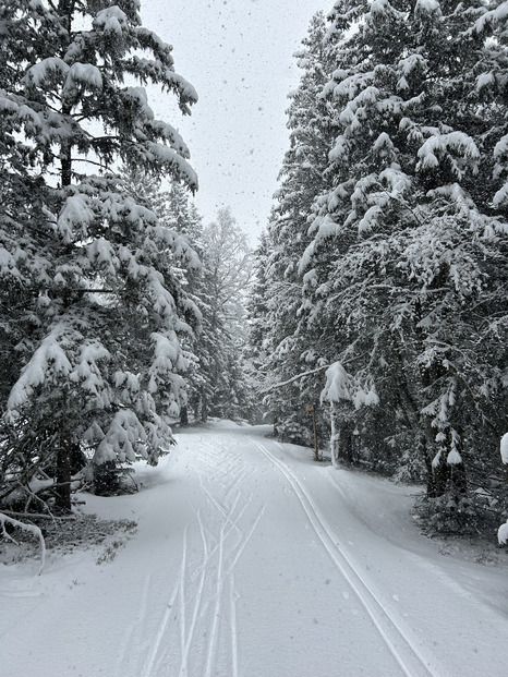 Belle ambiance hivernale pour un skating pour parents motivés 