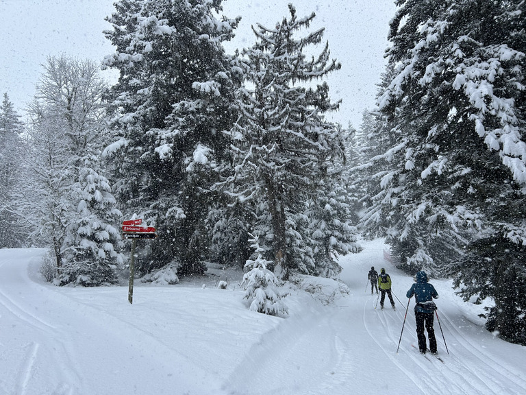 Belle ambiance hivernale pour un skating pour parents motivés 