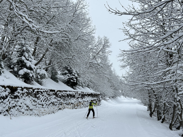 Belle ambiance hivernale pour un skating pour parents motivés 