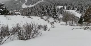 Tremp&eacute;-guen&eacute; aux 7 Laux