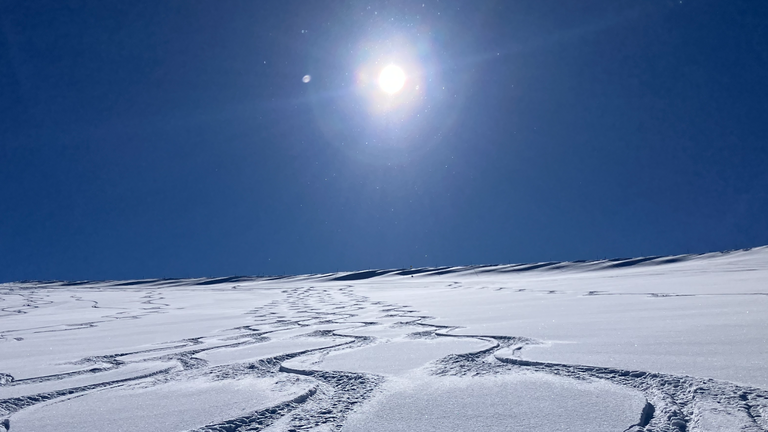 De la Peuff et du monde! 