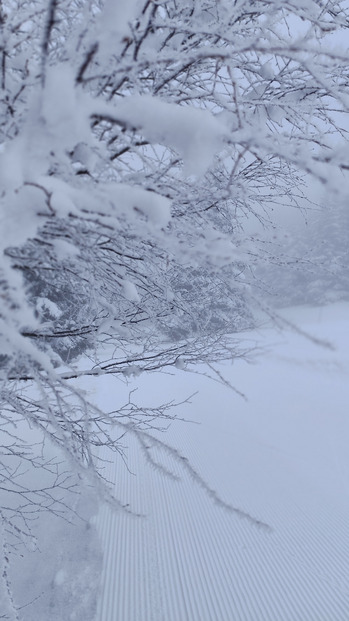 Retour des conditions hivernales au Chamrousse Nordic Park