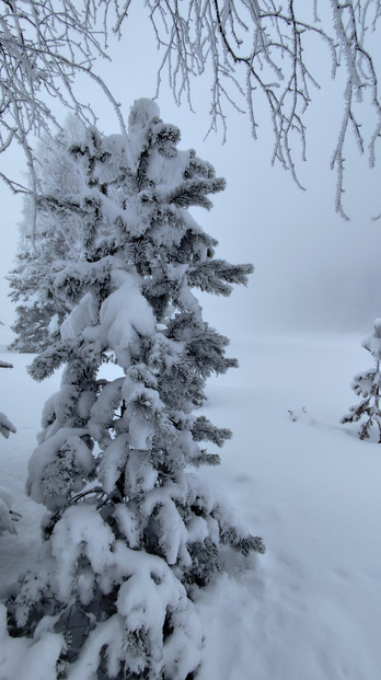 Retour des conditions hivernales au Chamrousse Nordic Park