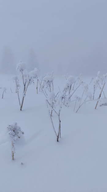 Retour des conditions hivernales au Chamrousse Nordic Park