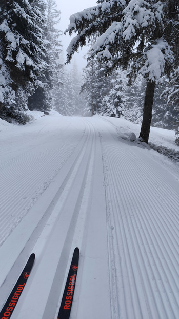 Retour des conditions hivernales au Chamrousse Nordic Park