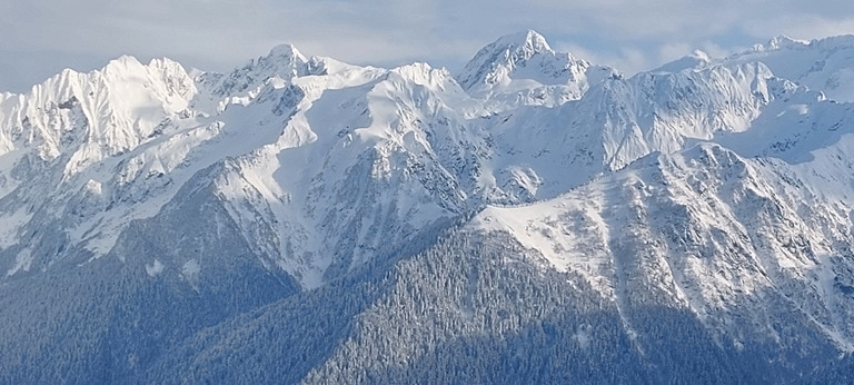 Soleil le matin, neige et brouillard l'après-midi 