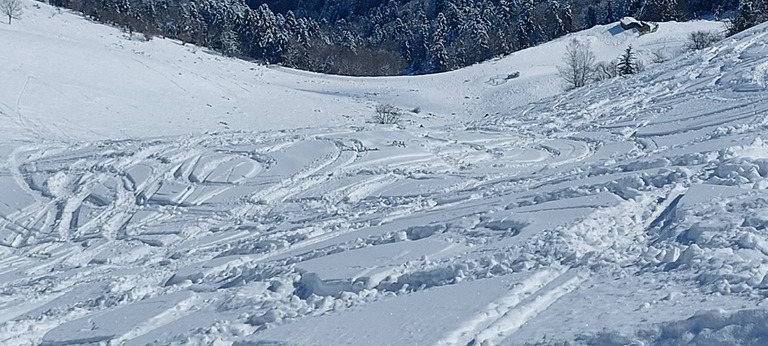 Soleil le matin, neige et brouillard l'après-midi 