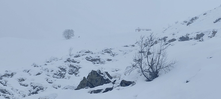 Brouillard et bonne neige