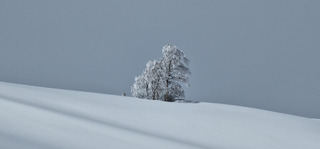 2 m&eacute;t&eacute;os