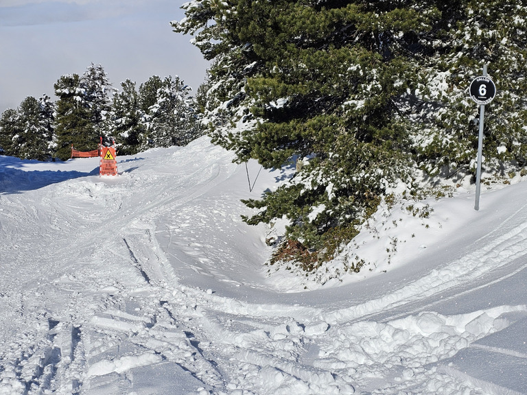 Chamrousse : on sort les 110 de patin !