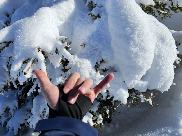 Chamrousse : on sort les 110 de patin !