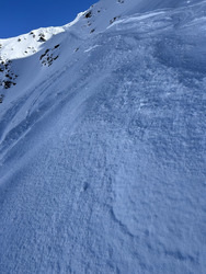 Poudre au printemps,skieur content 🤩