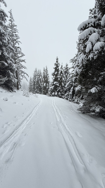 Top neige et temps pas ouf -> rando