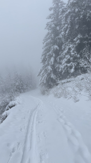 Top neige et temps pas ouf -> rando