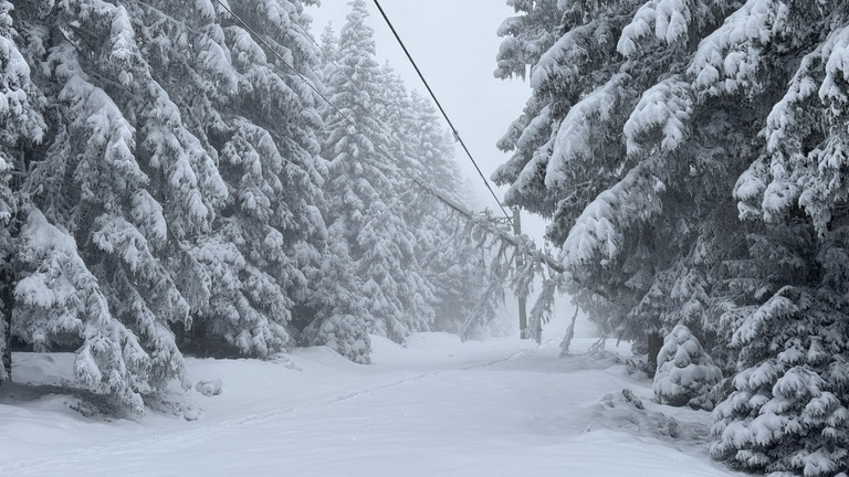 Top neige et temps pas ouf -> rando