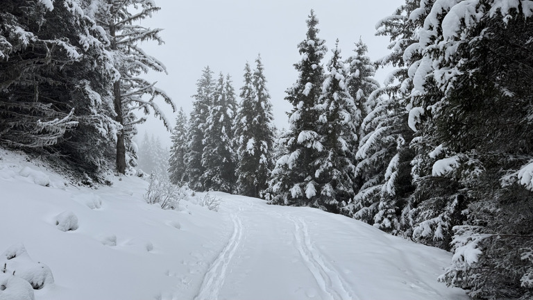 Top neige et temps pas ouf -> rando