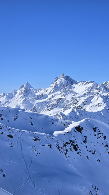 Que c'était bon à l'ombre 💙