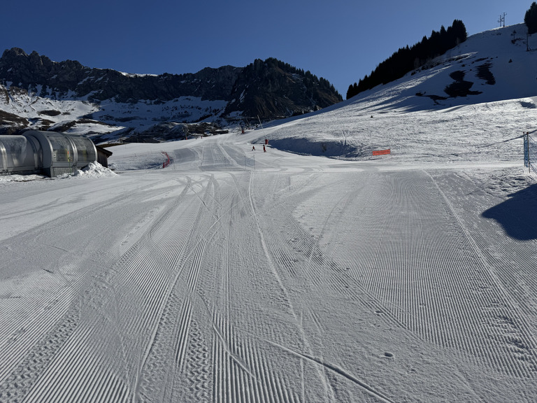 Le domaine en très bonnes conditions 