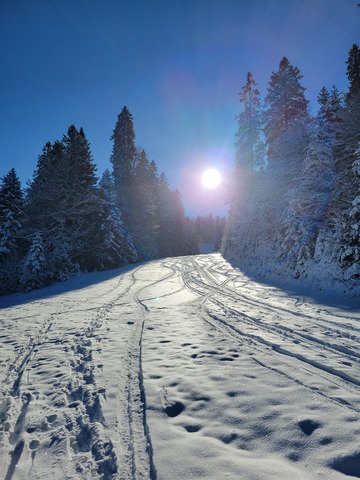Tricotage dans les Vosges ! 