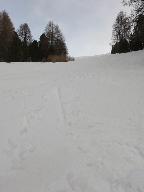 Encore une journée dans le vent ! 