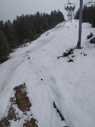 perdue dans la brume