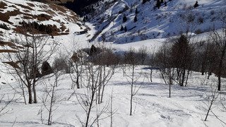 Vers la fin de saison