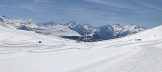 Du bon skating printanier