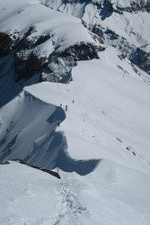 Faut en profiter tôt 