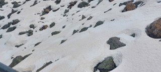 Ski de printemps 