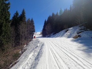 Ca fond, ca fond ... mais ca reste pas mal