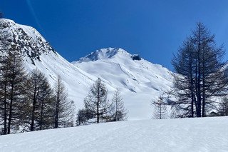 Il fallait se lever beaucoup plus tôt pour la tête de Pelvas…