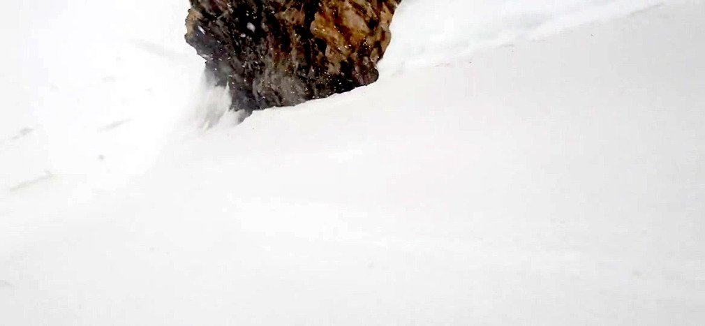 Après la tempête, du beau et du bon !