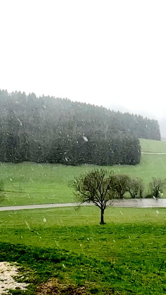 Belles averses de neige à basse altitude ce mercredi