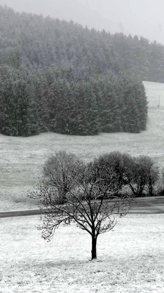 Neige surprise à basse altitude ce jeudi 17 avril...
